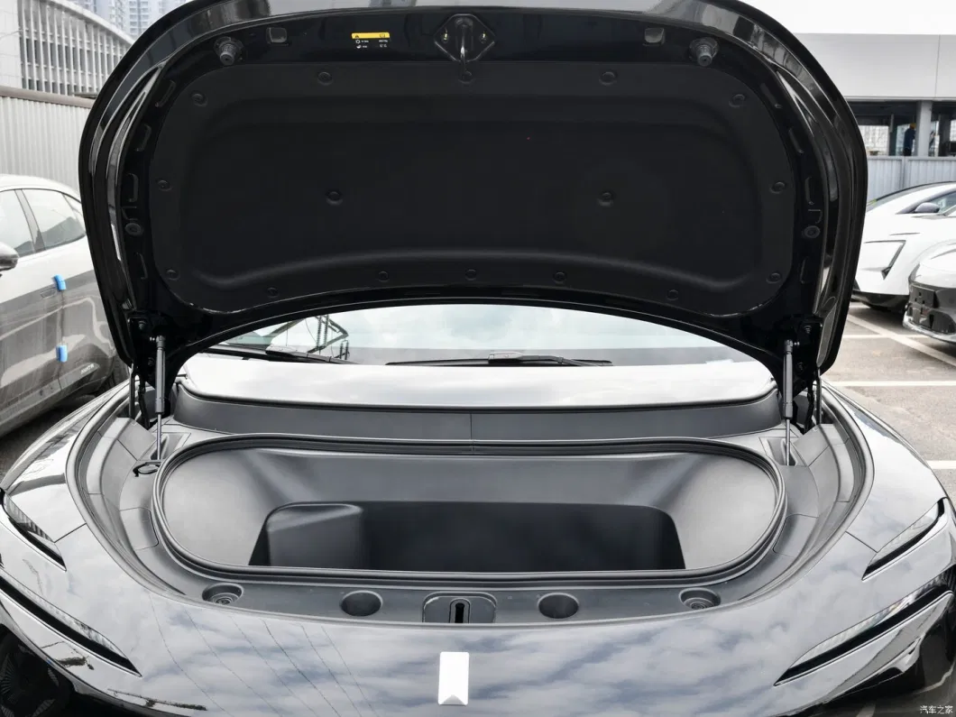 Avita 11 Coche eléctrico 555 km 680 km de largo resistencia doble motor 5 asientos 8