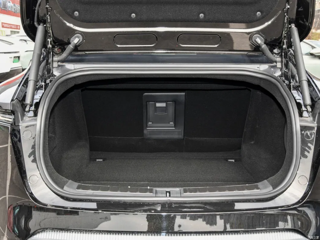Avita 11 Coche eléctrico 555 km 680 km de largo resistencia doble motor 5 asientos 9